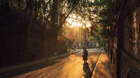 Visiter Ubud : les 14 choses incontournables à faire .